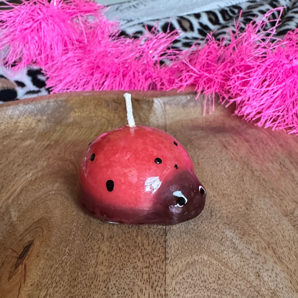 Valentines Day & Spring Ladybug Mini Candle